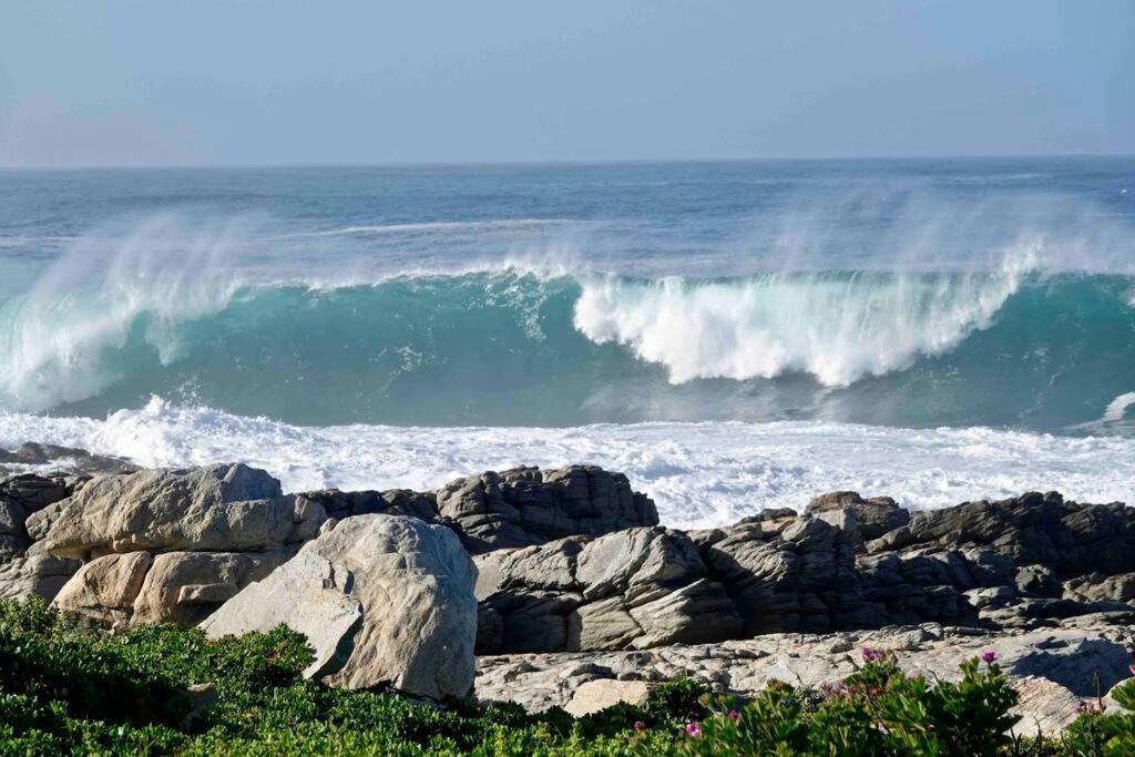 Whales & Waves Villa Hermanus Ngoại thất bức ảnh